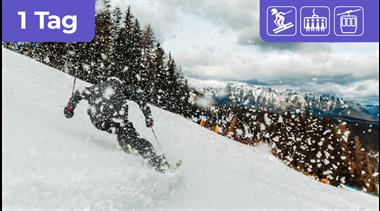 Image for: 1 daily ticket (09:00 - 17:00)